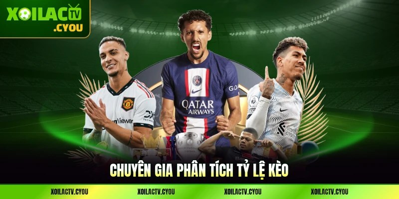 Chuyên gia phân tích tỷ lệ kèo